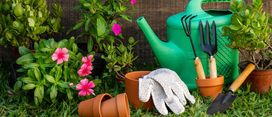 herramientas como poner mi jardin a punto