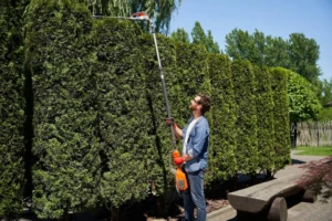 Tipos de jardines para su mantenimiento