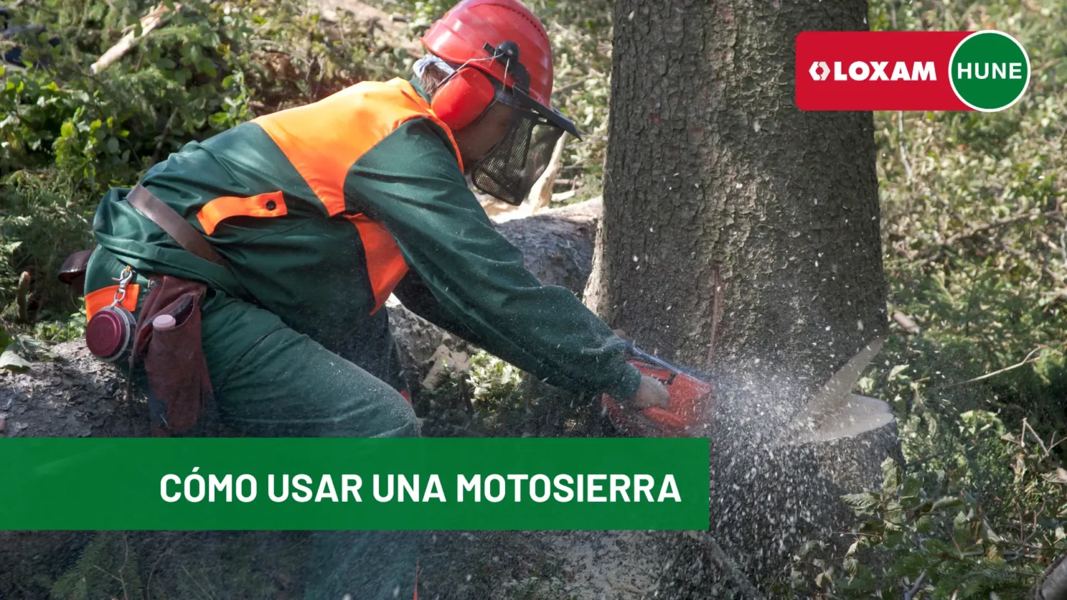 Cómo usar una motosierra