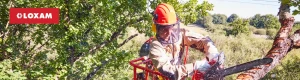 Protección ocular y accidentes laborales