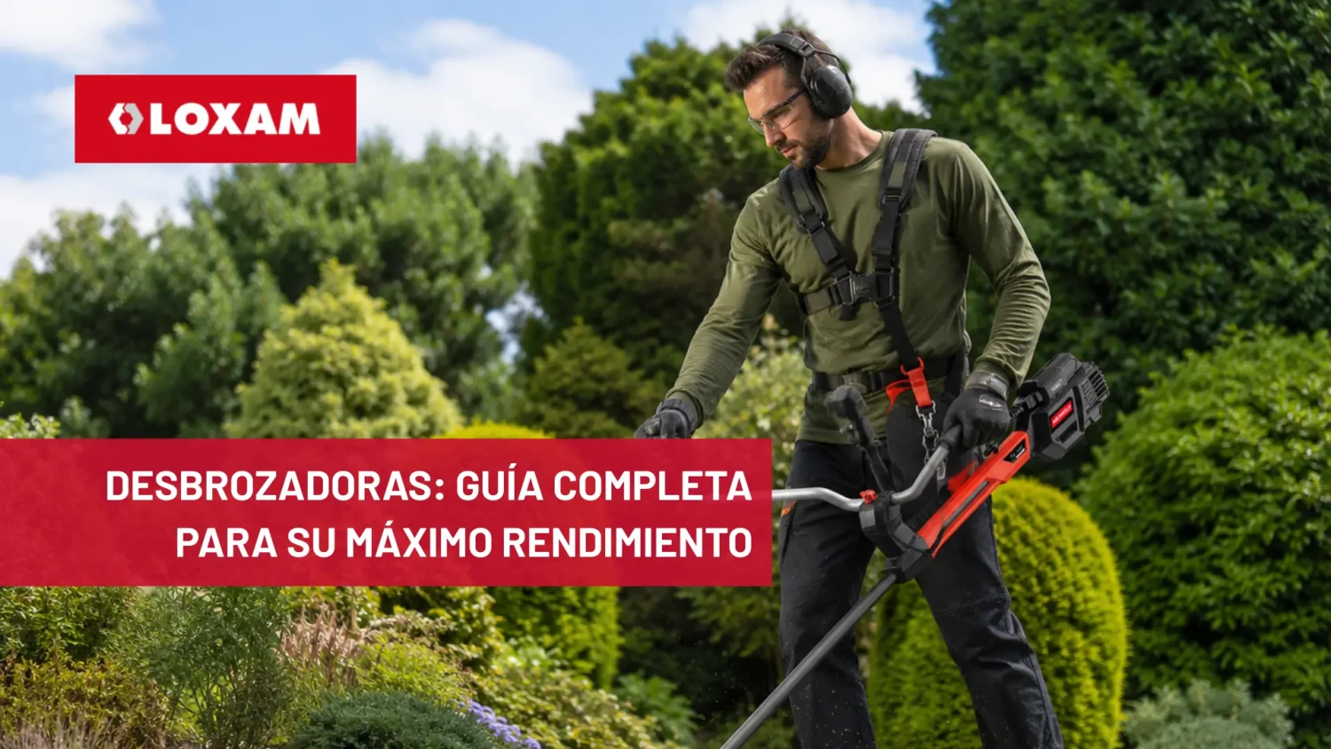 Desbrozadoras guía completa